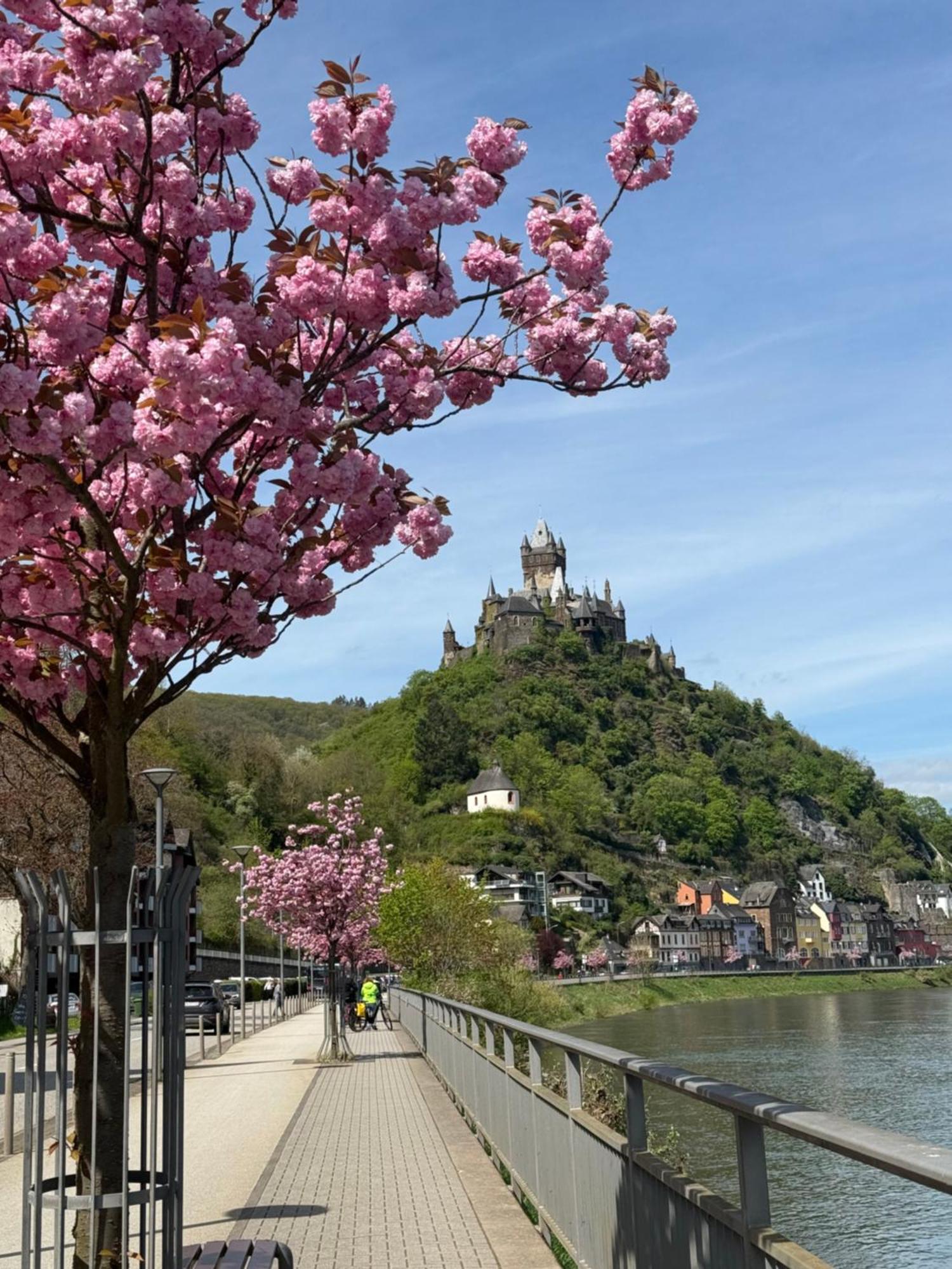 Appartement Haus Rubi à Commune fusionnée de Cochem-Land Extérieur photo